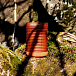 Портативная колонка Bang & Olufsen Beosound Explore Bonfire Orange - рис.7