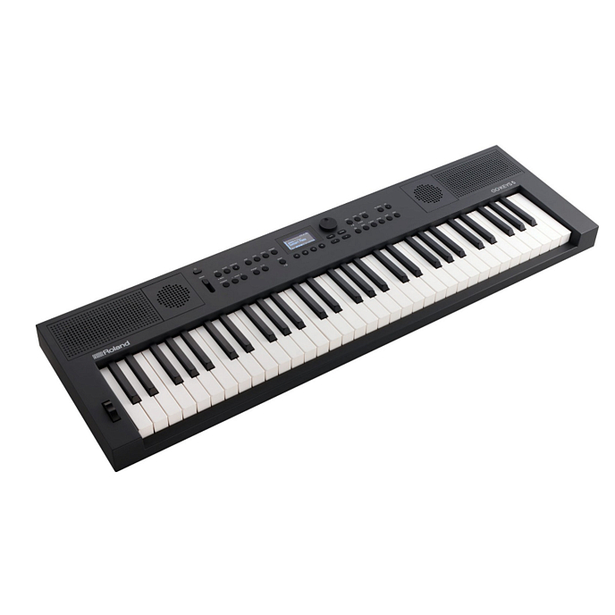Синтезатор Roland Go: Keys-5-GT Graphite - рис.1