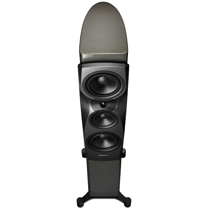 Напольная акустика Dynaudio Confidence 30 Midnight High Gloss - рис.5