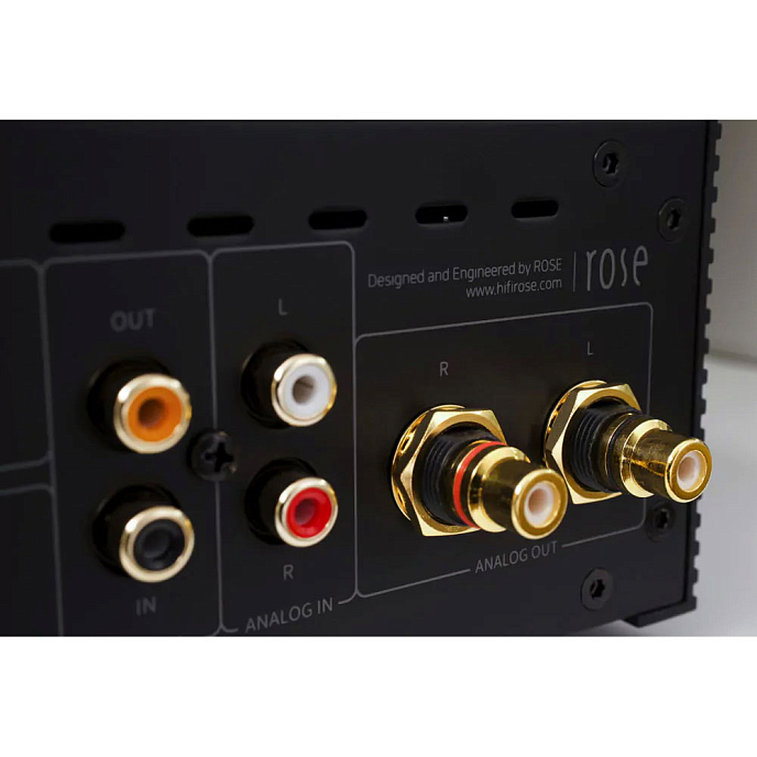 Сетевой аудиоплеер Rose RS250 - рис.10