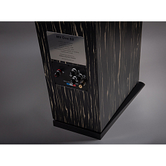 Напольная акустика Davis Acoustics MV One Master Ebony