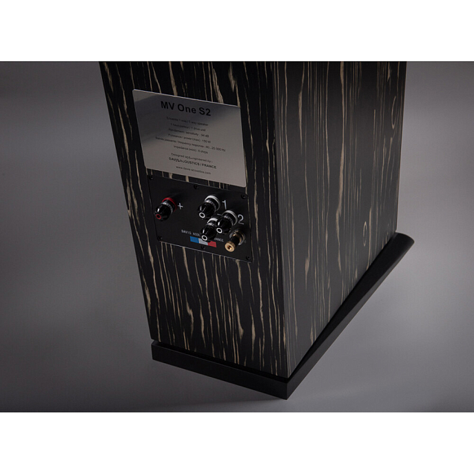 Напольная акустика Davis Acoustics MV One Master Ebony - рис.4