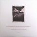 Виниловая пластинка Pixies - Surfer Rosa LP - рис.5