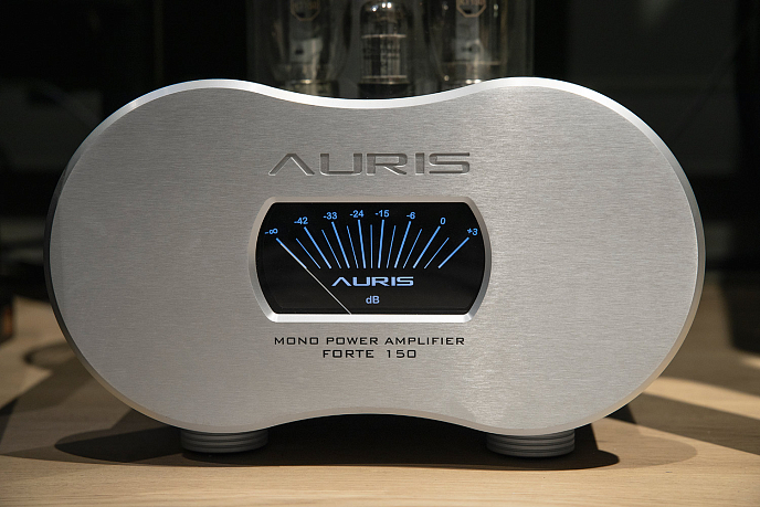 Усилитель мощности Auris Forte 150 - рис.7