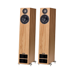 Напольная акустика PMC Active twenty5 24i Oak