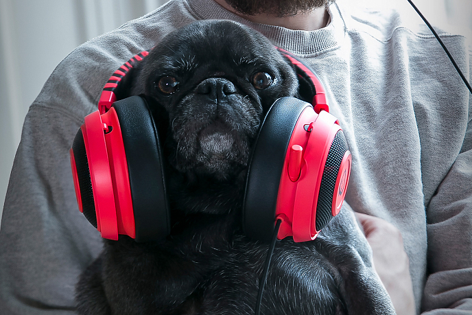 Игровая гарнитура Razer Kraken Pro V2 Oval PewDiePie - рис.11