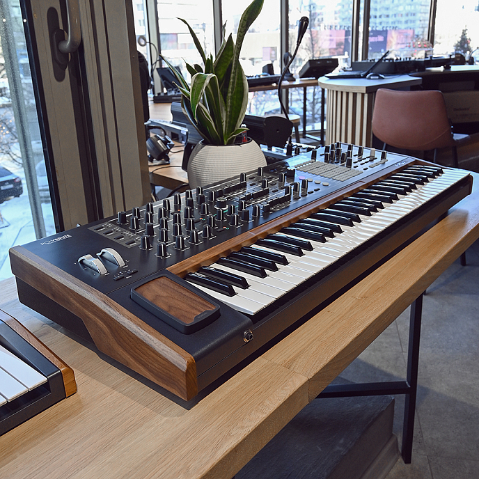 Синтезатор Arturia PolyBrute - рис.10