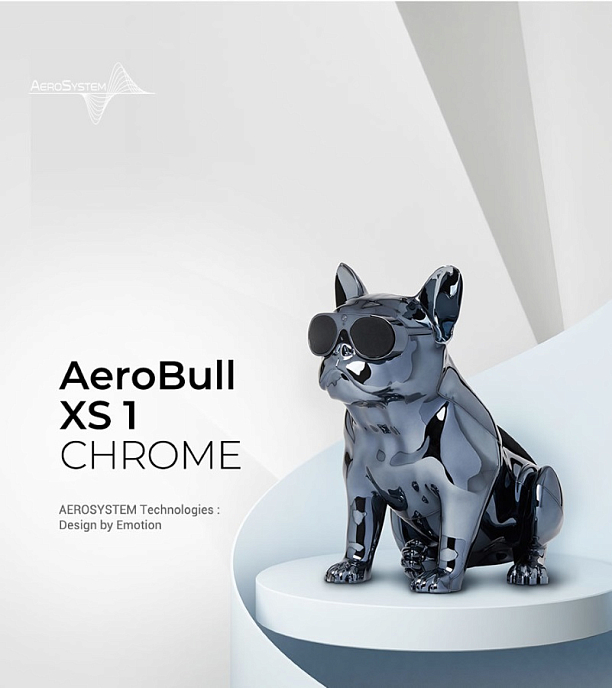 Портативная колонка AeroSystem Aerobull XS1 Chrome Black - рис.6