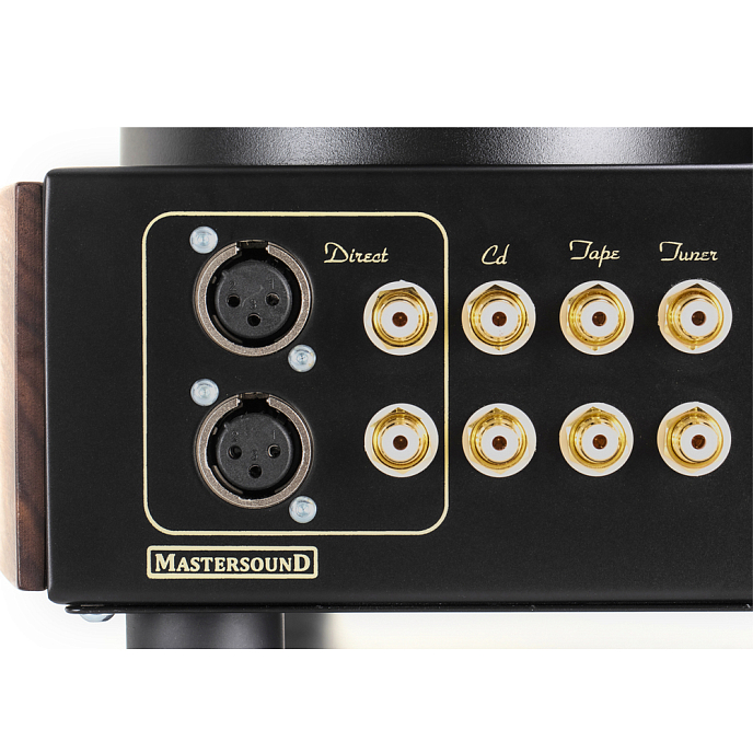 Интегральный усилитель Mastersound Evolution 845 Black Wood - рис.8