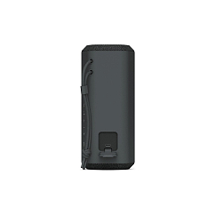 Портативная колонка Sony SRS-XE200 Black