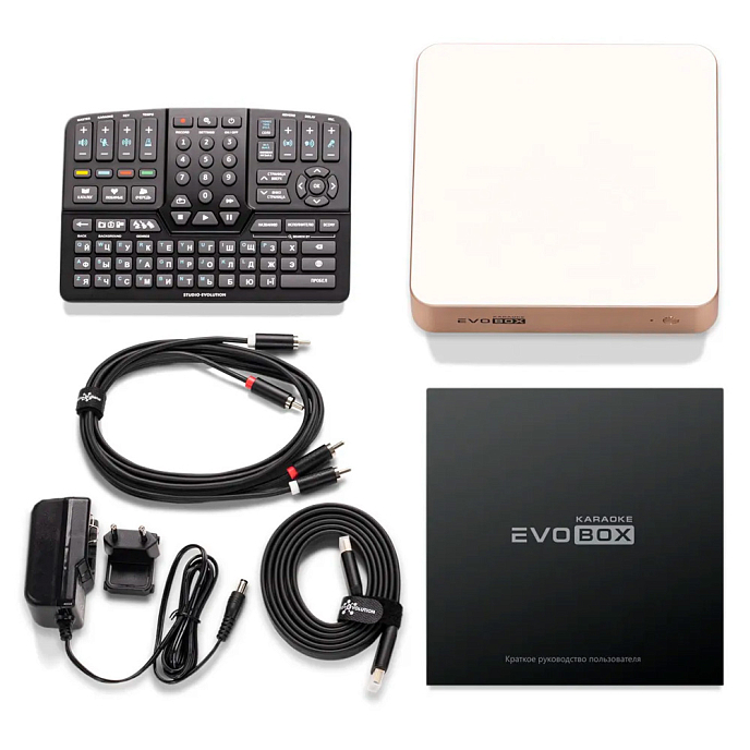 Караоке-система Studio Evolution EVOBOX Plus Gold - рис.6