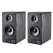 Полочная акустика Radiotehnika S-20N Black Ash - рис.1 Полочная акустика Radiotehnika S-20N Black Ash - рис.1