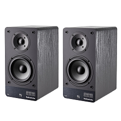 Полочная акустика Radiotehnika S-20N Black Ash