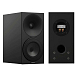 Комплект Amphion Argon1 + Premiera A2 + Earmen Staccato - рис.4