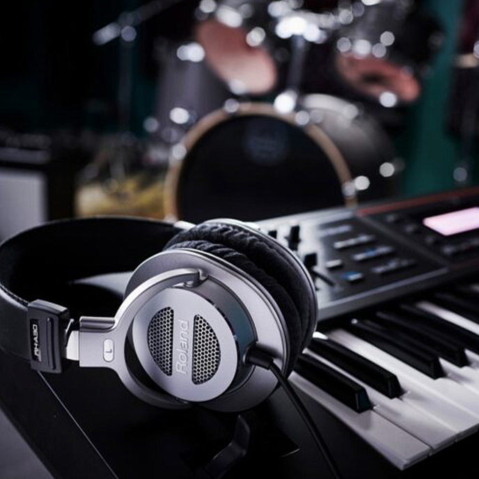 Наушники мониторные Roland RH-A30 Silver Black - рис.6