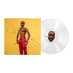 Виниловая пластинка Tyler, The Creator - Don't Tap The Glass (coloured) LP