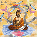 Виниловая пластинка Ravin – Buddha-Bar: Best Of 2 (Coloured) - 3LP - рис.0