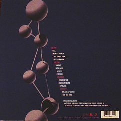 Виниловая пластинка Foo Fighters - The Colour And The Shape