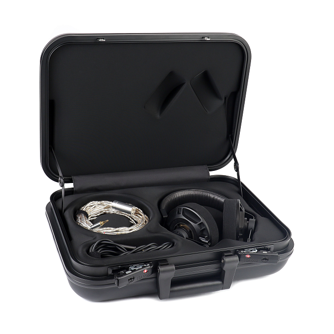 Наушники полноразмерные Final Audio D8000 Pro Limited Edition Black/Gold - рис.6