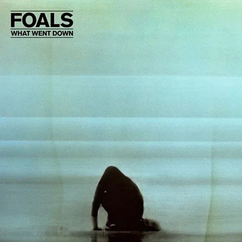 Пластинка Foals - What Went Down - рис.0