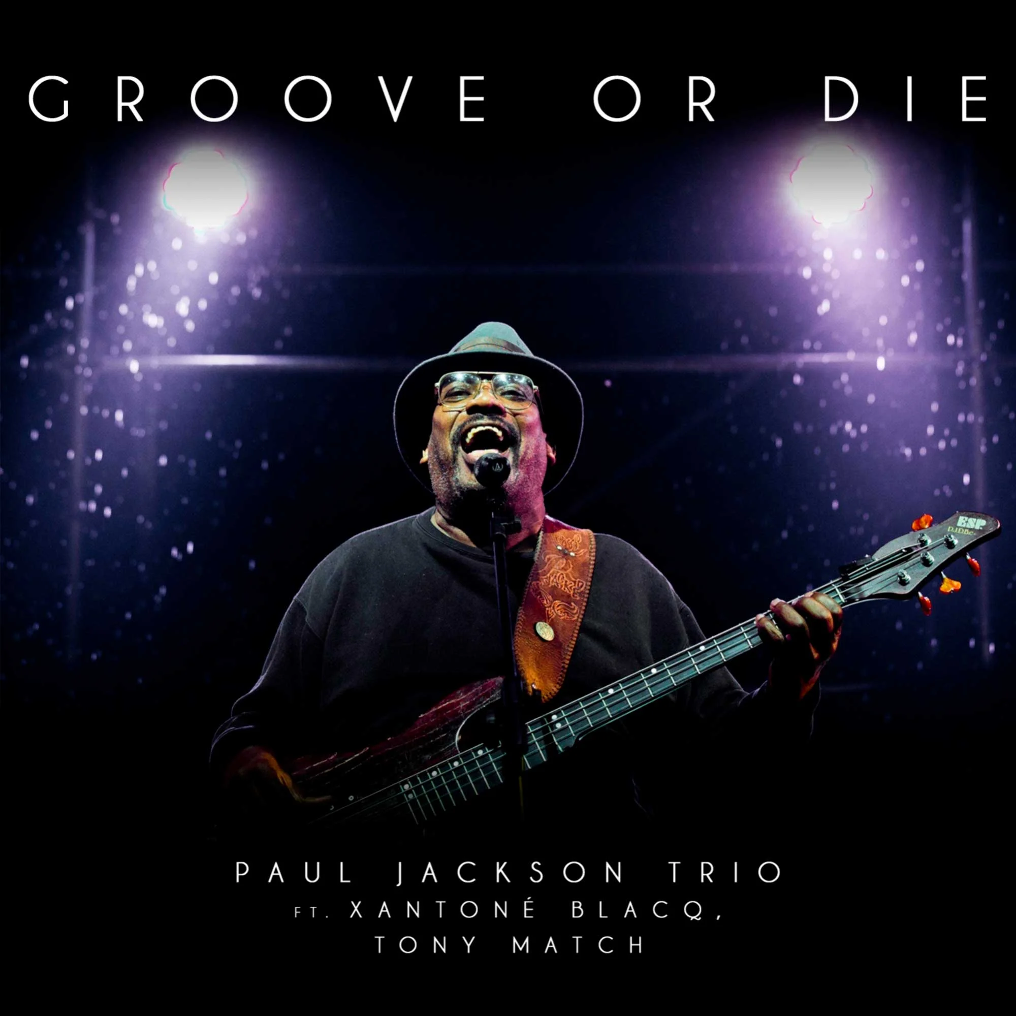 Paul Jackson - Groove Or Die LP – купить пластинку по цене от 5290 руб. в  интернет-магазине Dr.Head