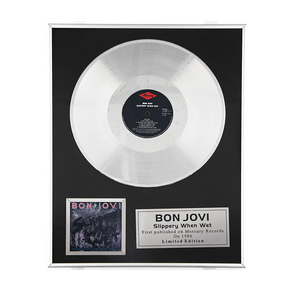 VinylLab Платиновый диск в рамке Bon Jovi от Dr.Head