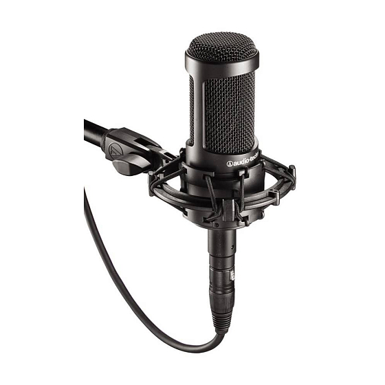 Микрофон студийный Audio-technica AT2035 - рис.0