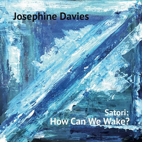 Пластинка Josephine Davies - Satori: How Can We Wake? LP - рис.0