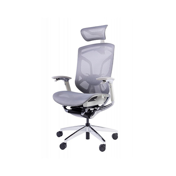 Компьютерное кресло GTChair Dvary X grey - рис.0