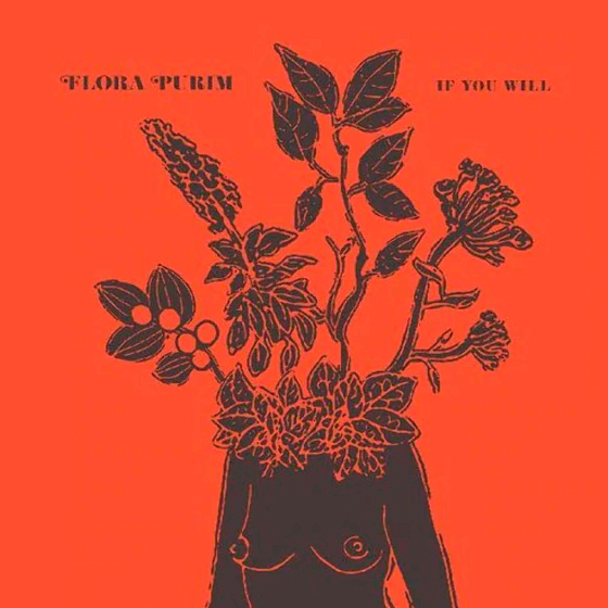 Пластинка Flora Purim – If You Will LP - рис.0