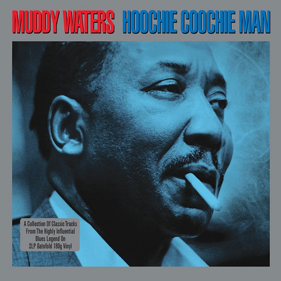 Пластинка Muddy Waters – Hoochie Coochie Man 2LP - рис.0