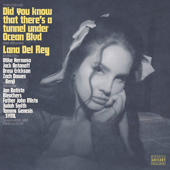 Пластинка Lana Del Rey – Did You Know That There's A Tunnel Under Ocean Blvd 2LP - рис.0
