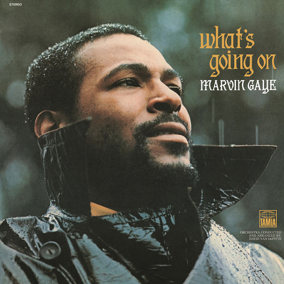 Пластинка Marvin Gaye – What's Going On LP - рис.0