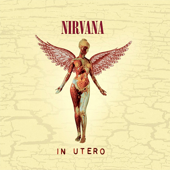 Пластинка Nirvana - In Utero Deluxe LP - рис.0